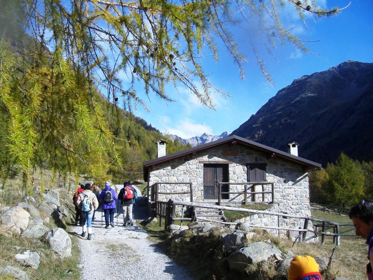 Casa Del Parco Dell'Adamello Di Vezza D'Oglio Pansiyon Dış mekan fotoğraf